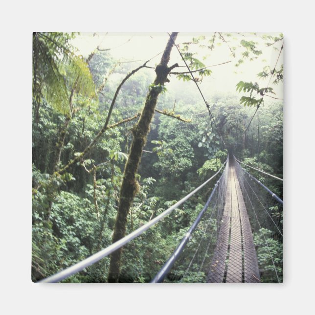 Central America, Costa Rica, Monteverde Cloud Magnet (Front)