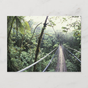 Central America, Costa Rica, Monteverde Cloud Postcard