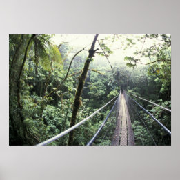 Central America, Costa Rica, Monteverde Cloud Poster