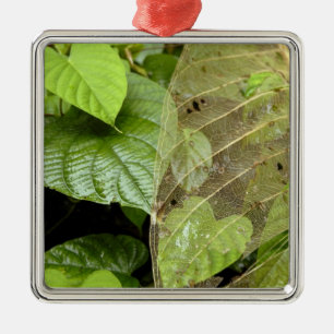 Central America, Costa Rica, Sarapiqui, Braulio Metal Tree Decoration