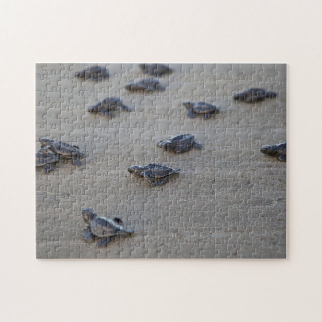 Central America, El Salvador, Pacific Ocean Jigsaw Puzzle (Horizontal)