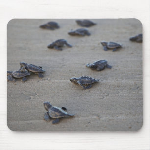 Central America, El Salvador, Pacific Ocean Mouse Mat