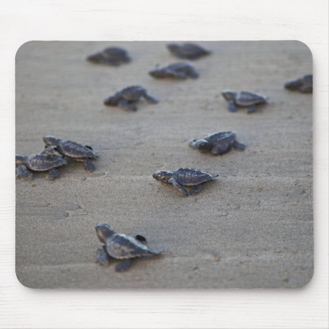 Central America, El Salvador, Pacific Ocean Mouse Mat (Front)