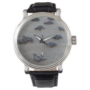 Central America, El Salvador, Pacific Ocean Watch