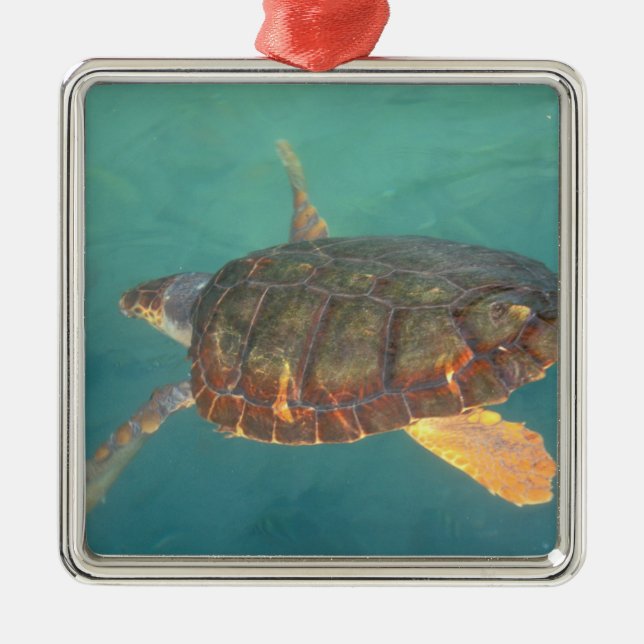 Central America, Panama, Bocas Del Torro Metal Tree Decoration (Front)