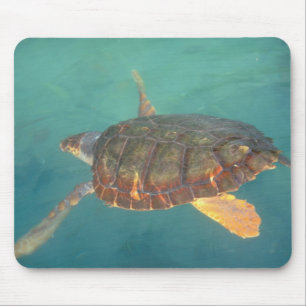 Central America, Panama, Bocas Del Torro Mouse Mat