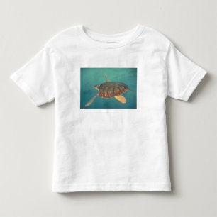 Central America, Panama, Bocas Del Torro Toddler T-Shirt
