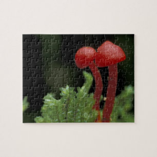 Central America, Panama, Chiriqui Province, 2 Jigsaw Puzzle