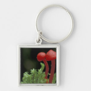 Central America, Panama, Chiriqui Province, 2 Key Ring