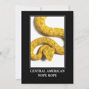 Central American Nope Rope - Viper Snake Danger Invitation