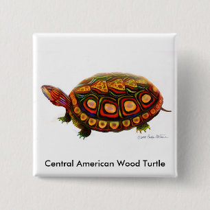 Central American Wood Turtle Pin