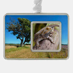 Central bearded dragon on branch postcard coffee m silver plated framed ornament
