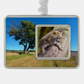 Central bearded dragon on branch postcard coffee m silver plated framed ornament