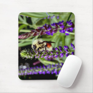Central Bumblebee with Flowering Speedwell Plant Mouse Mat