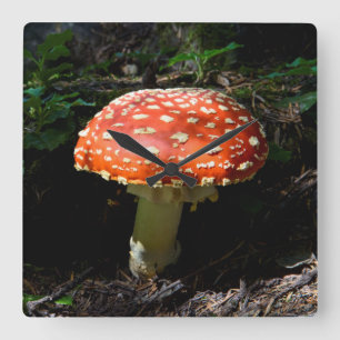 Central Cascades, Washington State Square Wall Clock