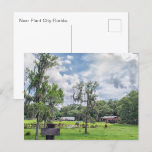 Central Florida Homestead Holiday Postcard