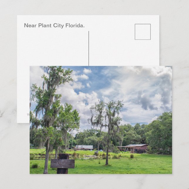 Central Florida Homestead Holiday Postcard (Front/Back)