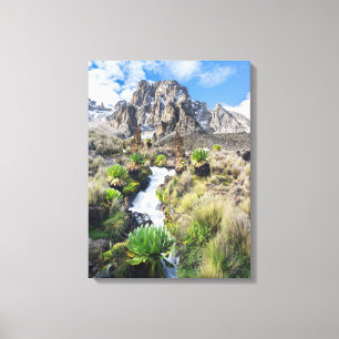 Central Mount Kenya National Park Canvas Print