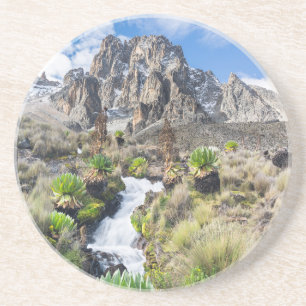 Central Mount Kenya National Park Coaster