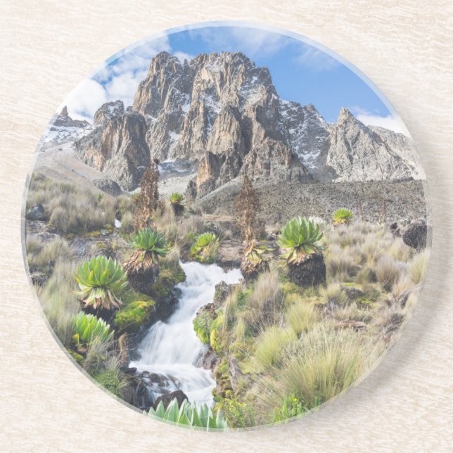 Central Mount Kenya National Park Coaster (Front)