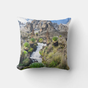 Central Mount Kenya National Park Cushion