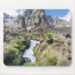 Central Mount Kenya National Park Mouse Mat