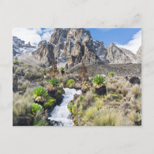 Central Mount Kenya National Park Postcard