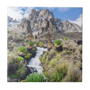 Central Mount Kenya National Park Tile