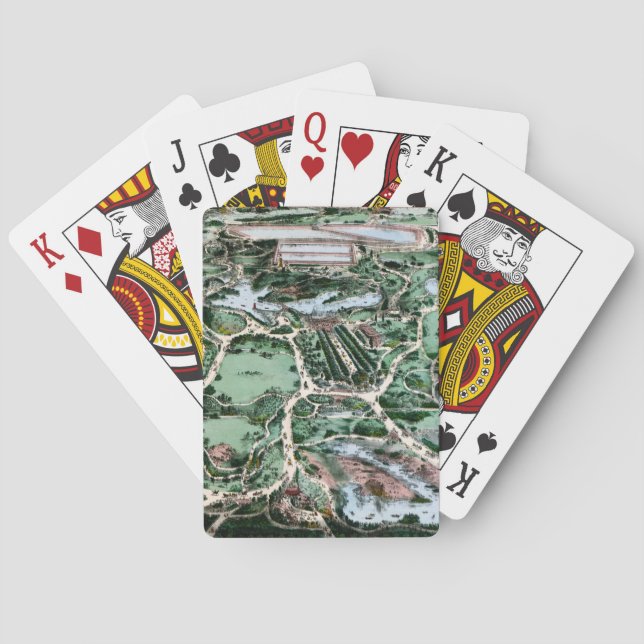 CENTRAL PARK, 1860 PLAYING CARDS (Back)