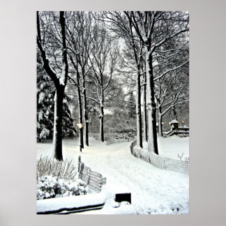Central park 2010 Snow - CIMG6446 Poster