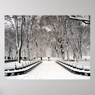 Central park 2010 Snow - CIMG6496 Poster