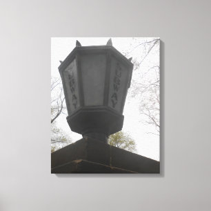 Central Park-3 Canvas Print