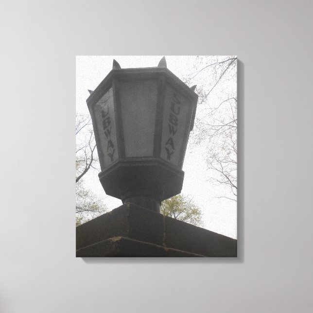 Central Park-3 Canvas Print (Front)