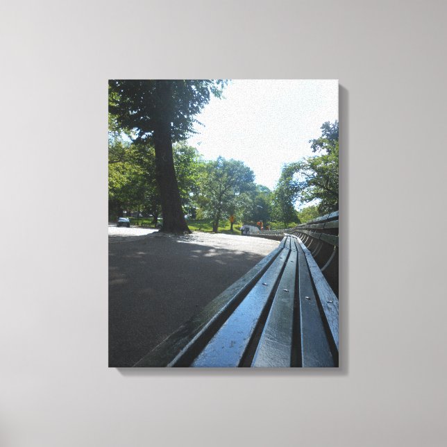 Central Park-4 Canvas Print (Front)