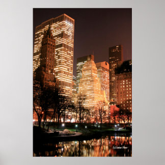 Central Park and Manhattan Skyline at Night Poster