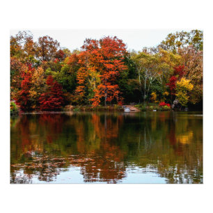 Central Park Autumn Fall Landscape Photo