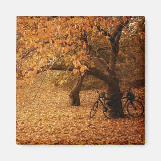 Central Park Autumn - New York City Magnet