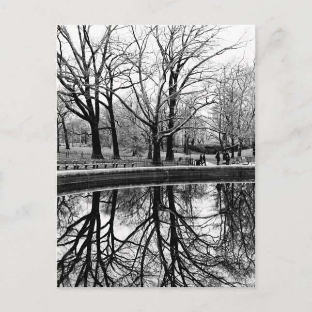 Central Park Black and White Landscape Photo Postcard (Front)