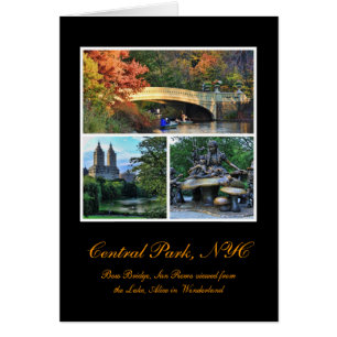 Central Park: Bow Bridge, San Remo, Alice in W....