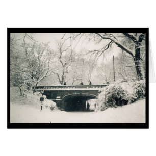 central park bridge