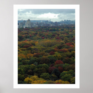 Central Park Fall Poster