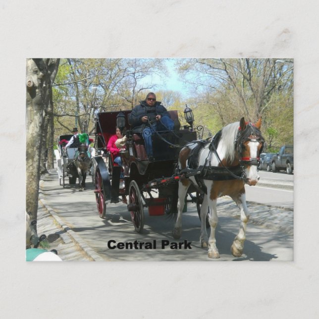 Central Park, Horse and Carriage Postcard (Front)