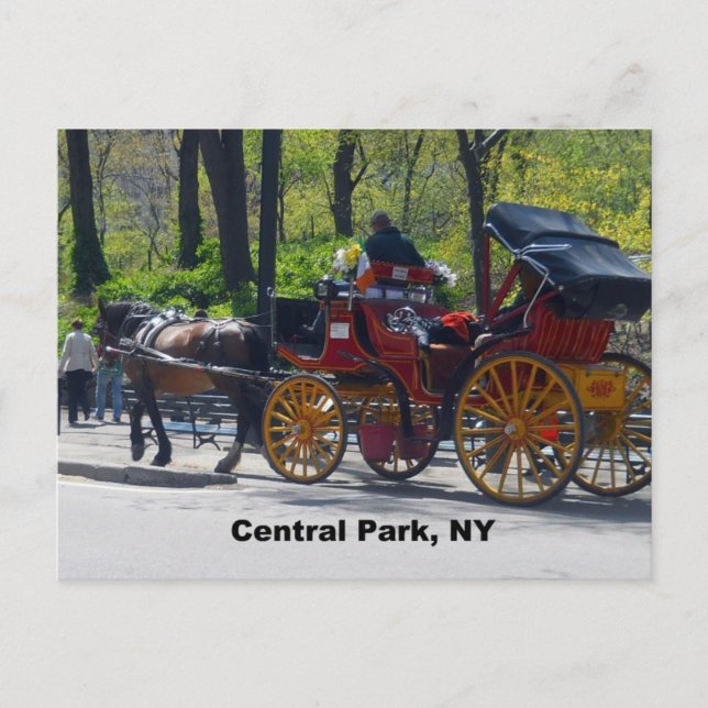 Central Park, Horse and Carriage Postcard (Front)