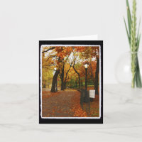 Central Park in Autumn