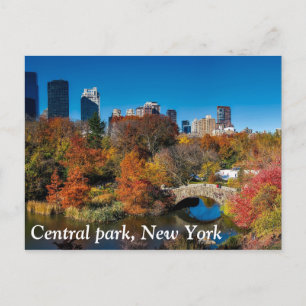Central park in autumn foliage New York Postcard