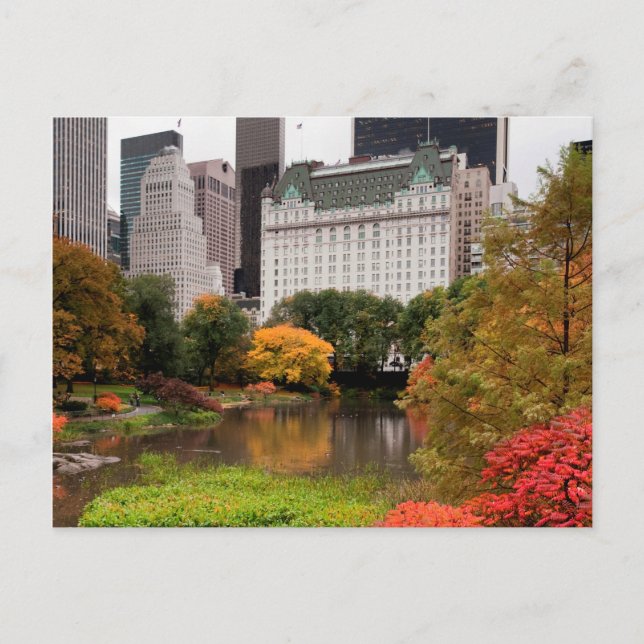 Central Park in Autumn postcard (Front)