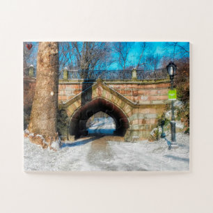 Central Park Jigsaw Puzzle