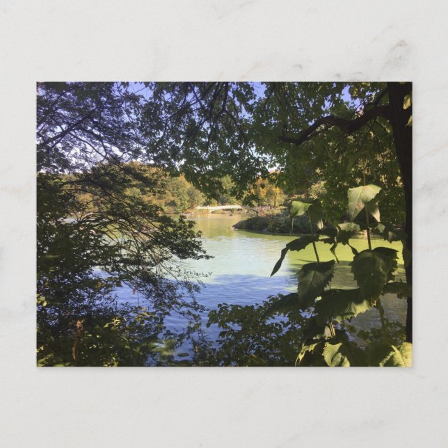 Central Park Lake New York City NYC Photo Postcard (Front)