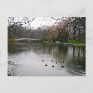 Central Park Lake NYC New York City Travel Photo Postcard