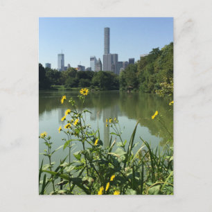 Central Park Lake NYC Skyscraper Photo Postcard